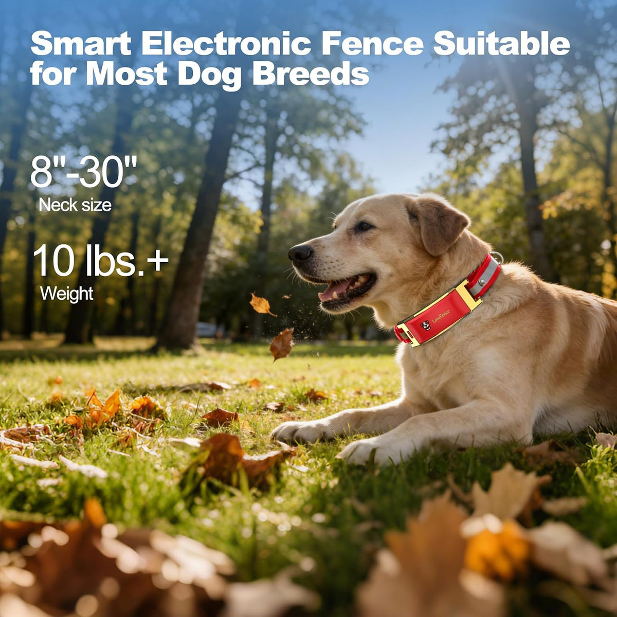Wireless Electric GPS Dog Collar Fence for Medium/Large Dog: No Subscription Upgrade Pet Shock Barrier Containment System Yard Outdoor Perimeter,Stubborn Dog Train Bluetooth Collar for Dog Parent Red